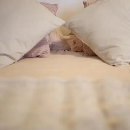 Havre De Paix - Maison 3 Etoiles - Piscine Privee - Europapark アルトルスハイム