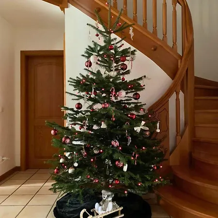 Havre De Paix - Maison 3 Etoiles - Piscine Privee - Europapark 別荘