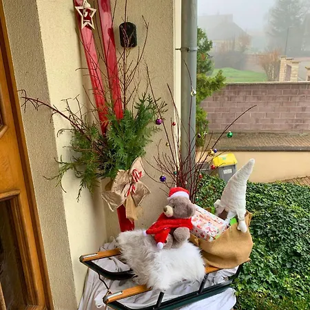 別荘 Havre De Paix - Maison 3 Etoiles - Piscine Privee - Europapark *